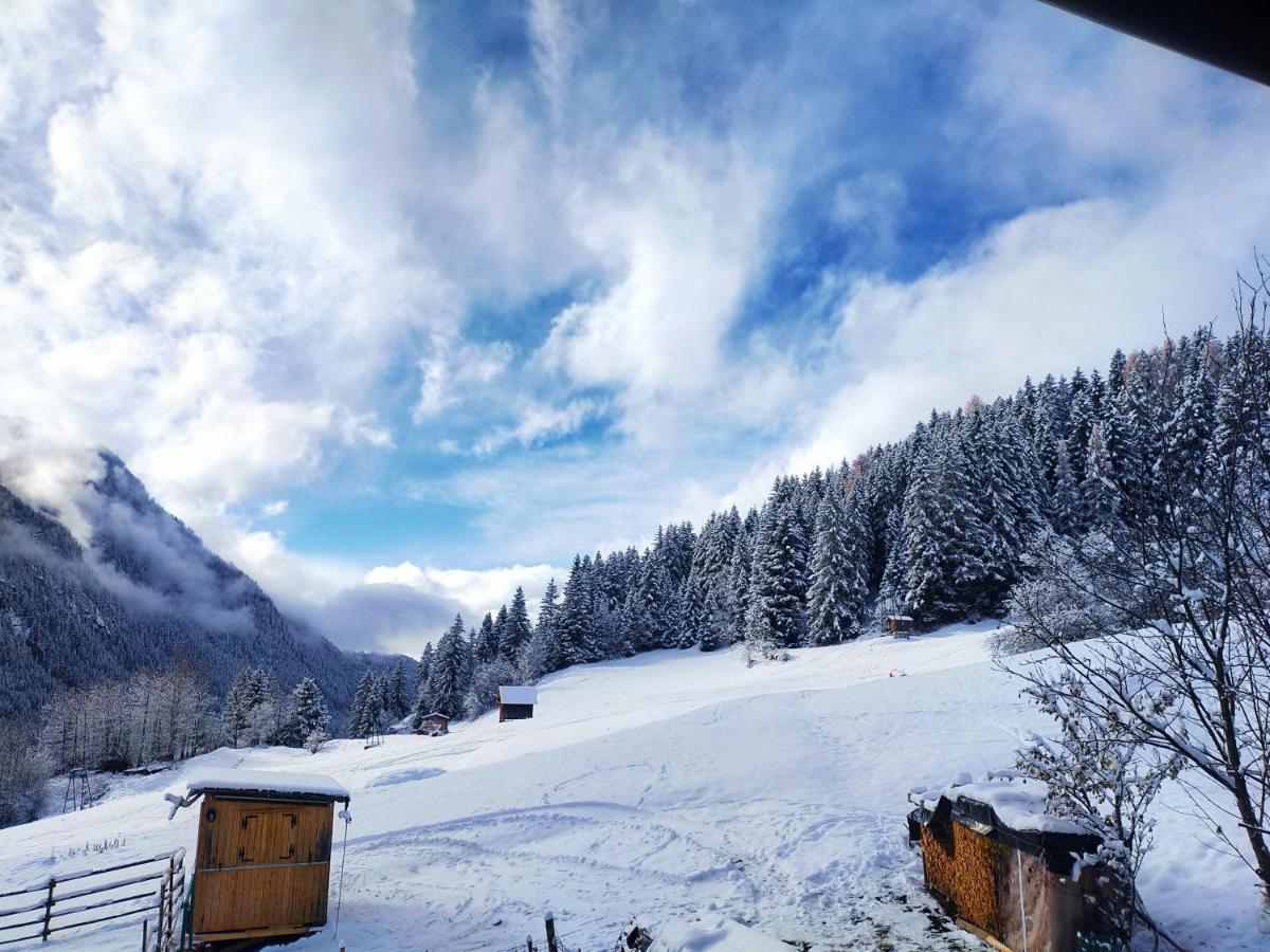 Cesa Cherpei - Dog Friendly Campitello di Fassa Extérieur photo