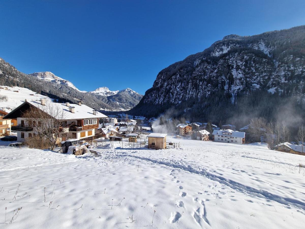 Cesa Cherpei - Dog Friendly Campitello di Fassa Extérieur photo