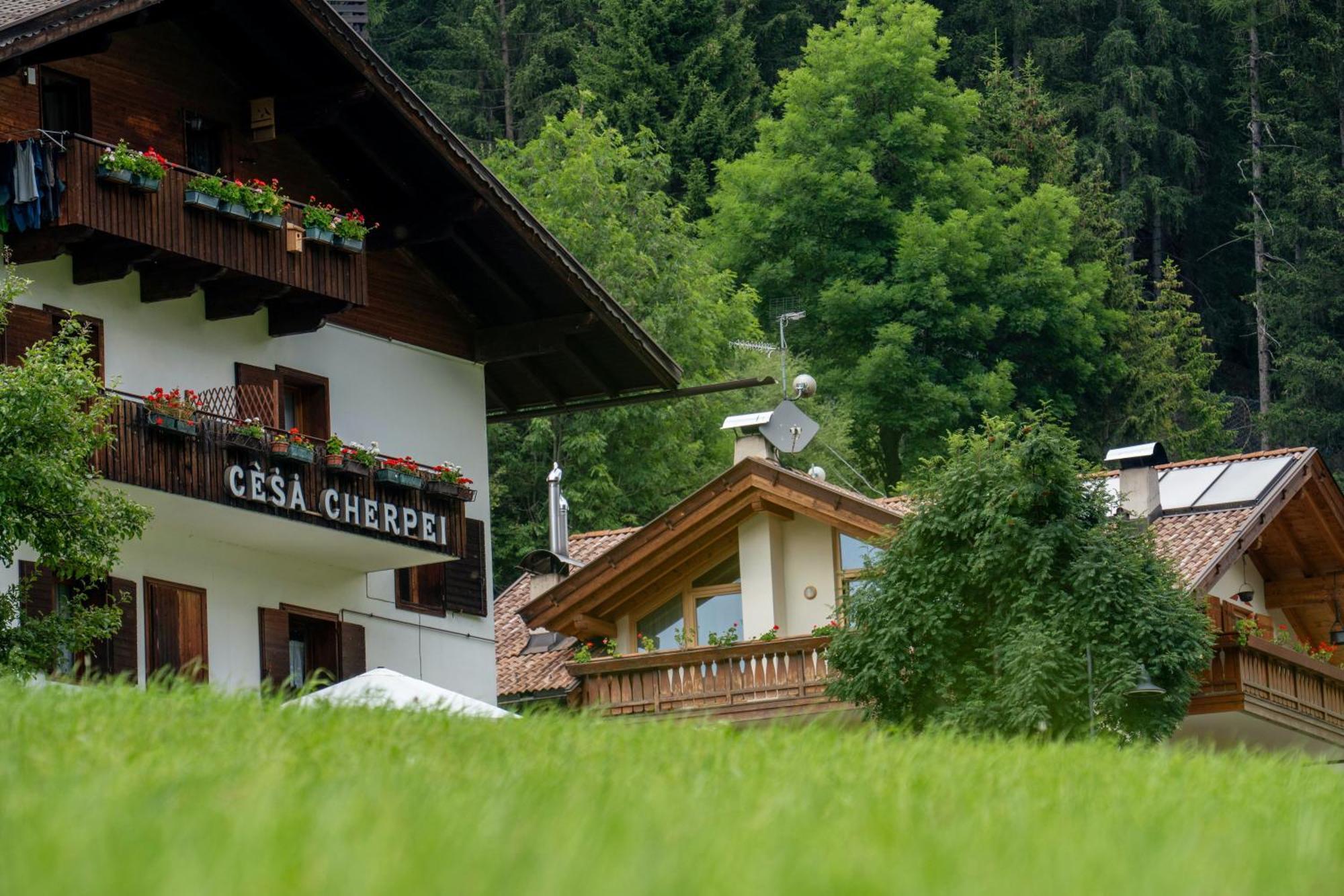Cesa Cherpei - Dog Friendly Campitello di Fassa Extérieur photo