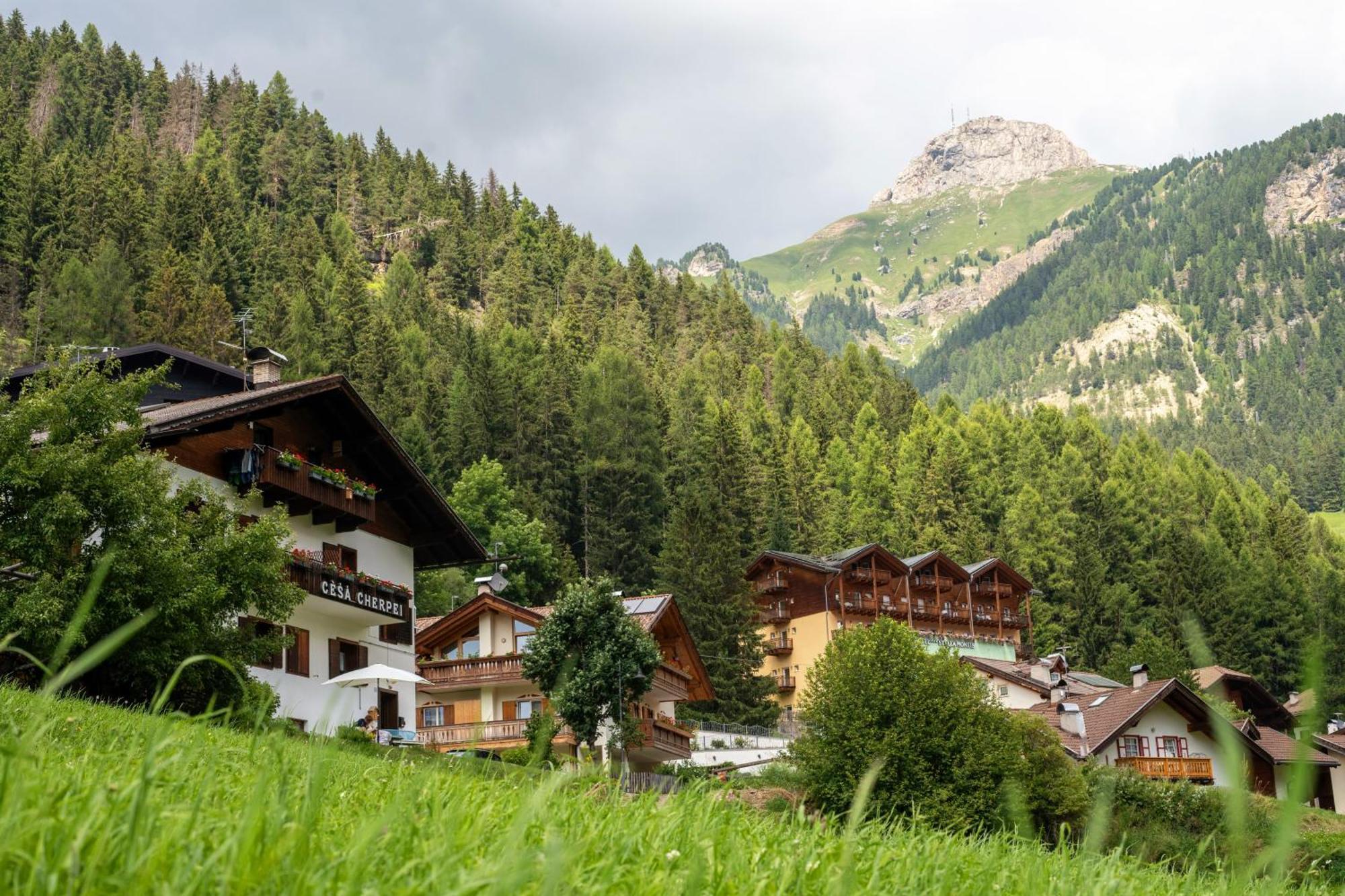 Cesa Cherpei - Dog Friendly Campitello di Fassa Extérieur photo